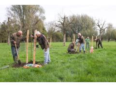 36 nieuwe perenbomen geplant op Landgoed Bredius (foto Dick van Doorn)